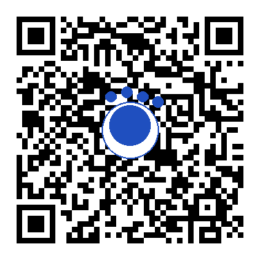 Open Codee chat for DigiFlyer